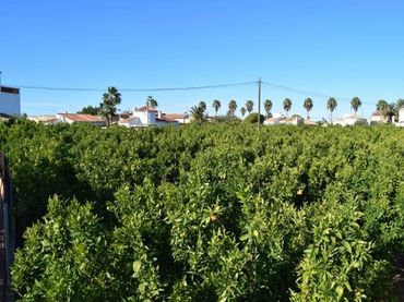 Terreny residencial en venda a Els Poblets