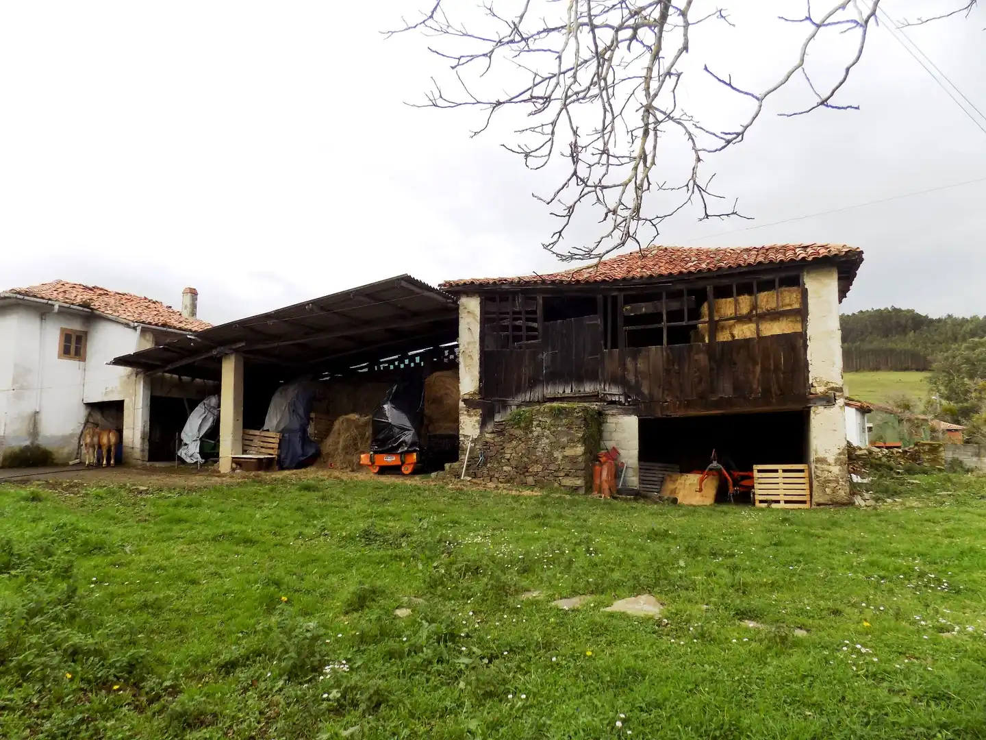 Casa rústica en venda a Pravia, imagen 13