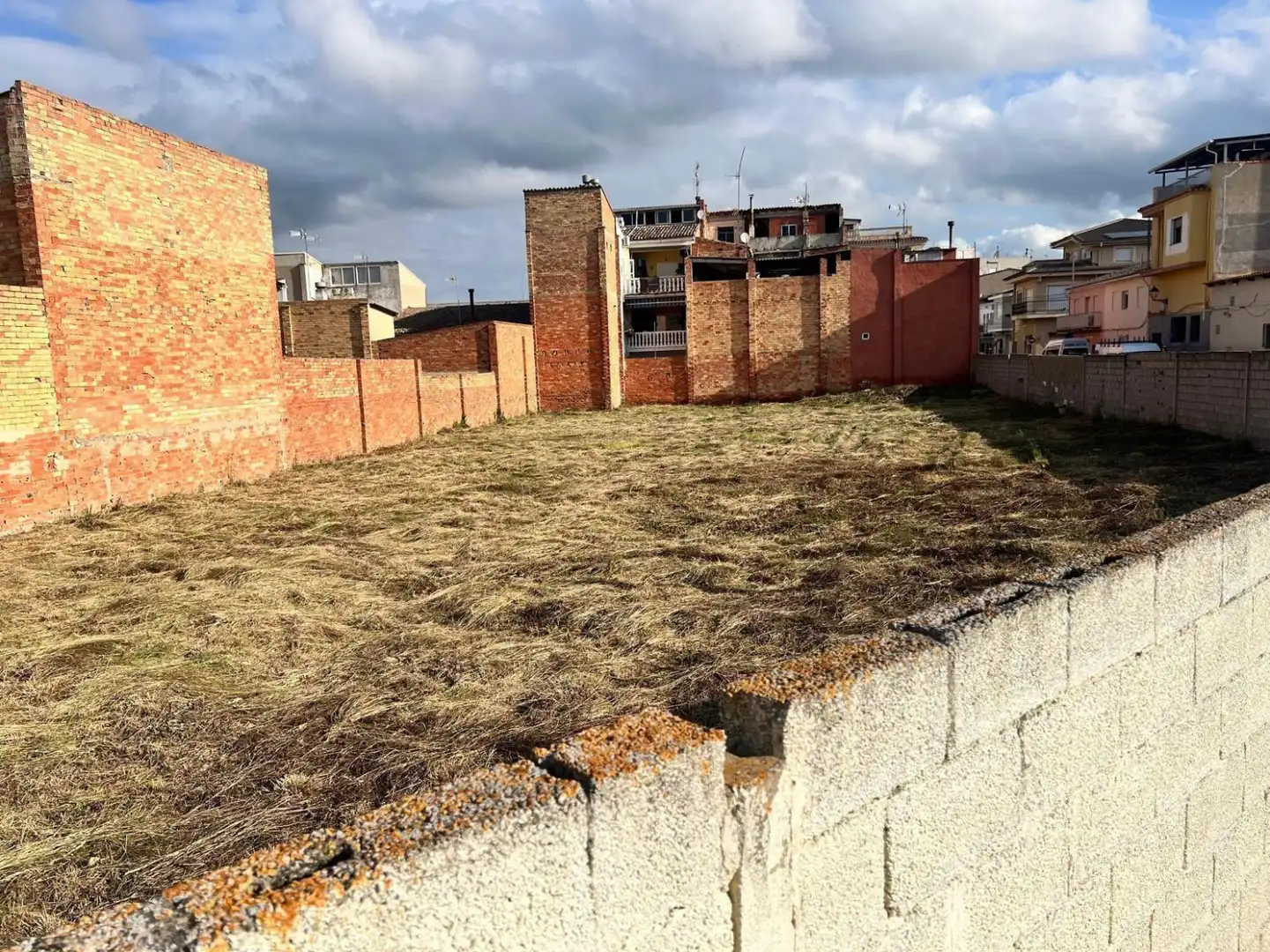 Terreny rústic en venda a Benigánim - Avenida de Vicente Boluda Palop, imagen 4
