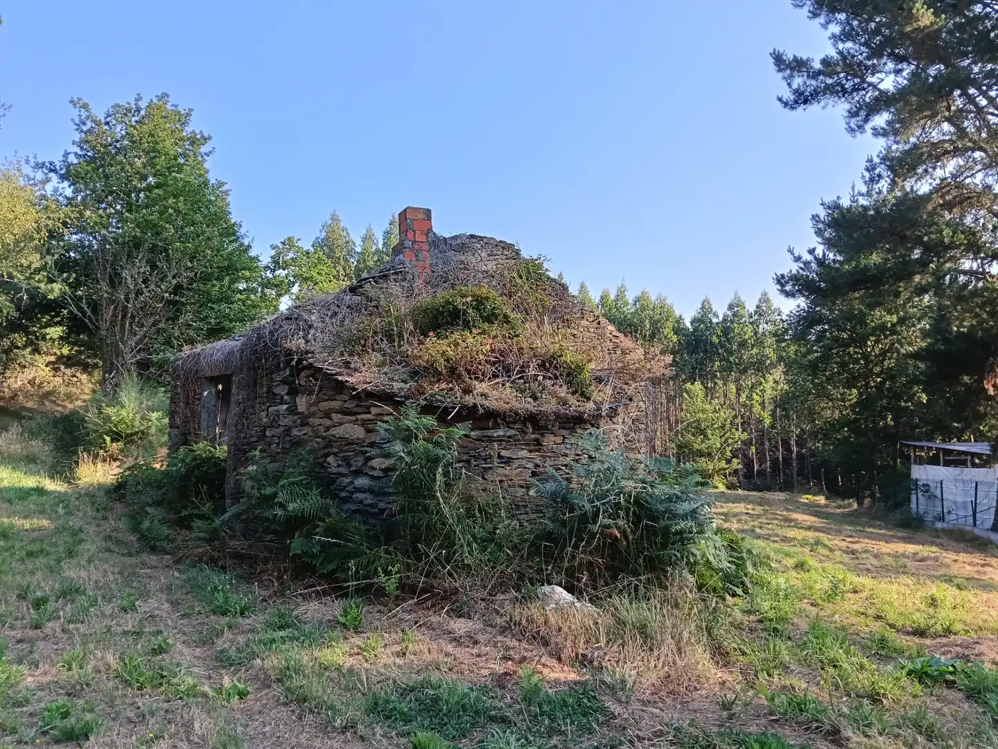Haus mit Garten zum Verkauf in Carretera de Sambreixo, imagen 3