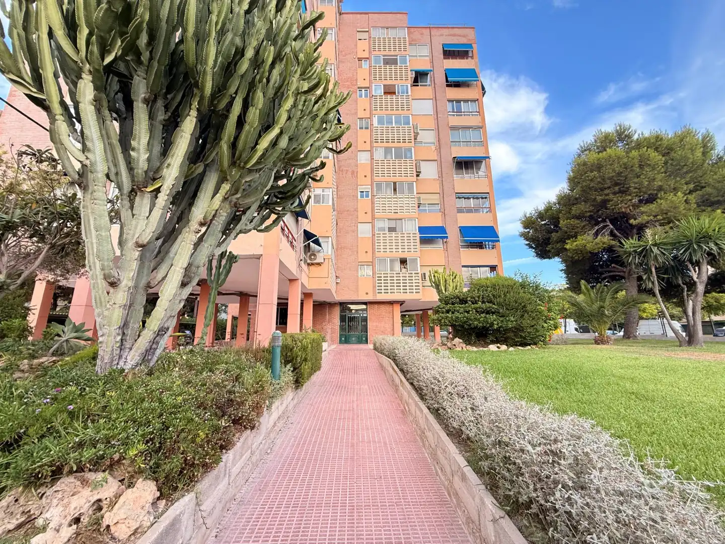 Vista exterior de Pis en venda en Alicante / Alacant amb Aire condicionat, Calefacció i Jardí privat