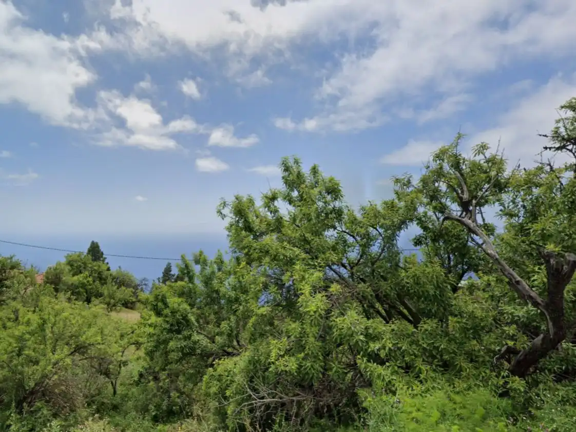 Casa o chalet en venta en Tijarafe, Santa Cruz de Tenerife