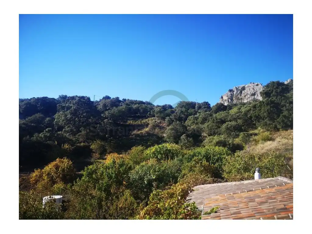 Country homes for sale in Benalauría