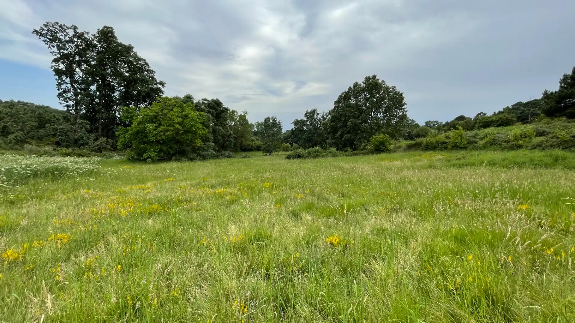 Grundstücke zum Verkauf in El Arenal 