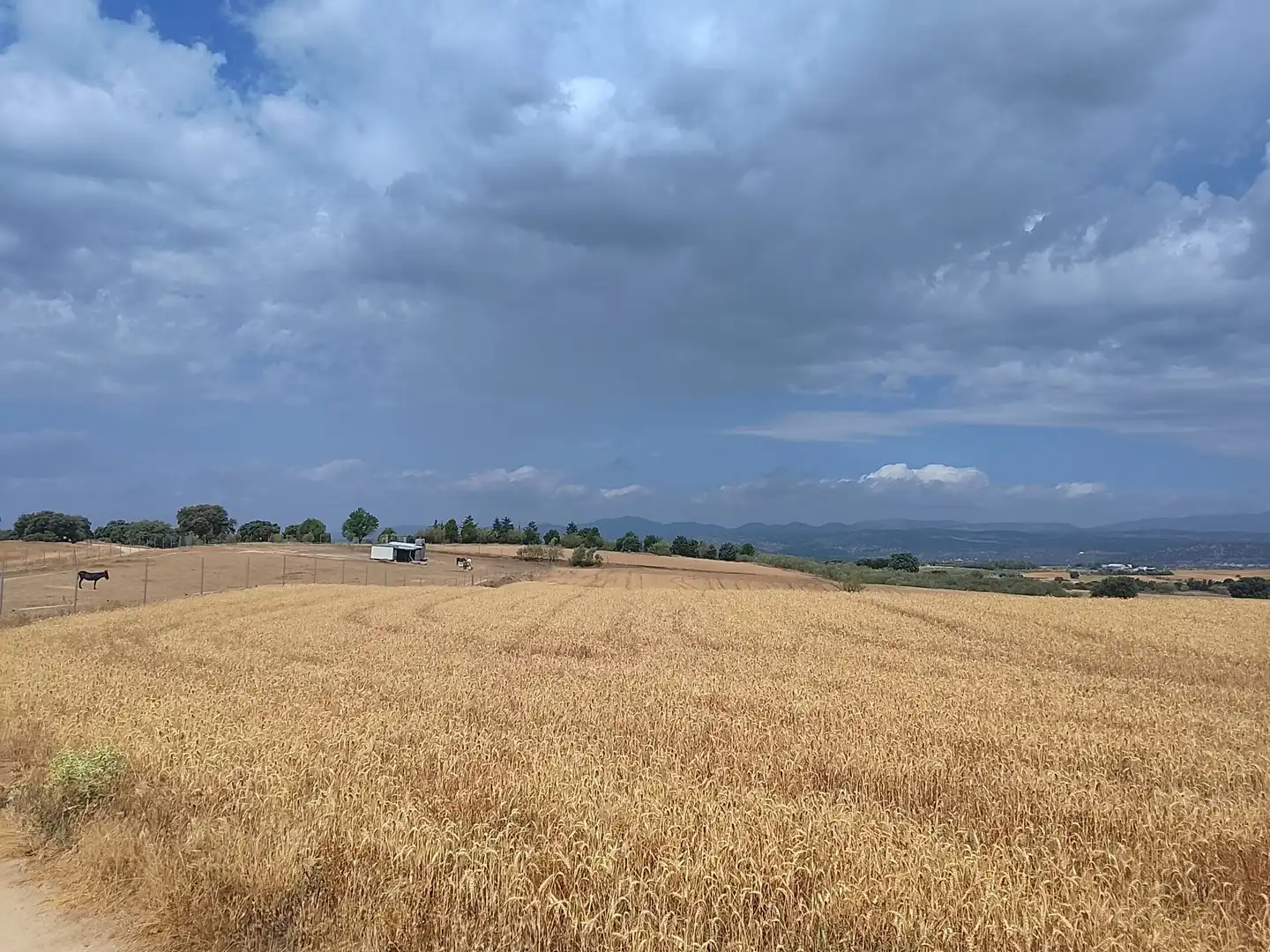 Terreno rustico in vendita a Quijorna, imagen 3