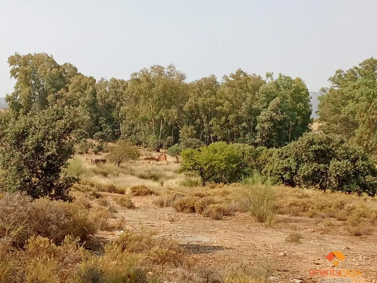 Terreni e lotti in vendita a Oeste, imagen 3