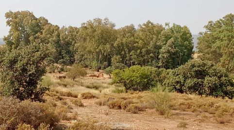MéridaTerreno, immagine 3