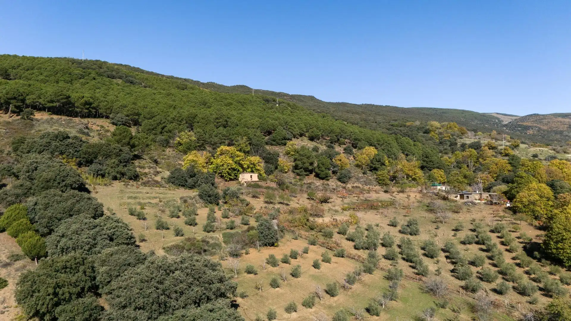 Finca rústica en venda en La Taha
