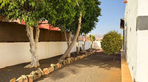 Photo 4 of House or chalet for sale in Lomo Lezque, Tuineje pueblo, Las Palmas