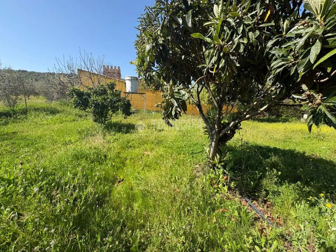 Terreno en venta en Táliga