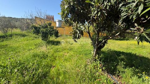 Foto 3 de Terreny en venda a Táliga, Badajoz