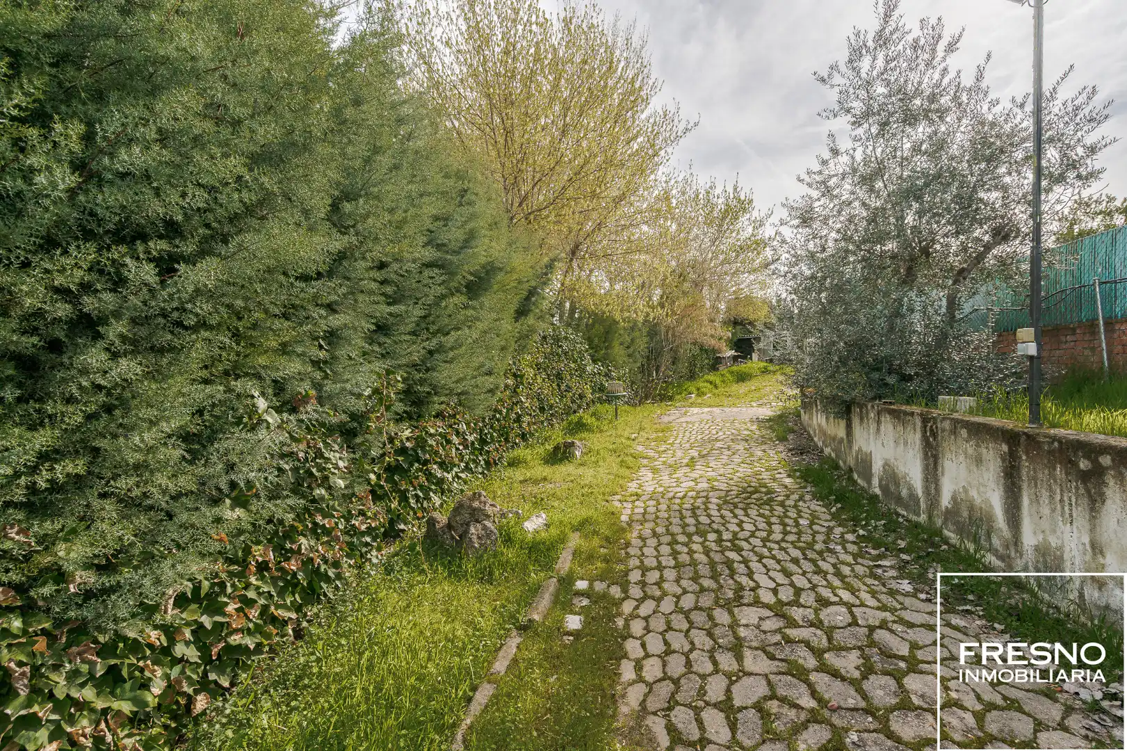 Wohnbaugrundstück zum Verkauf in Calle del Olivar 15B, imagen 4