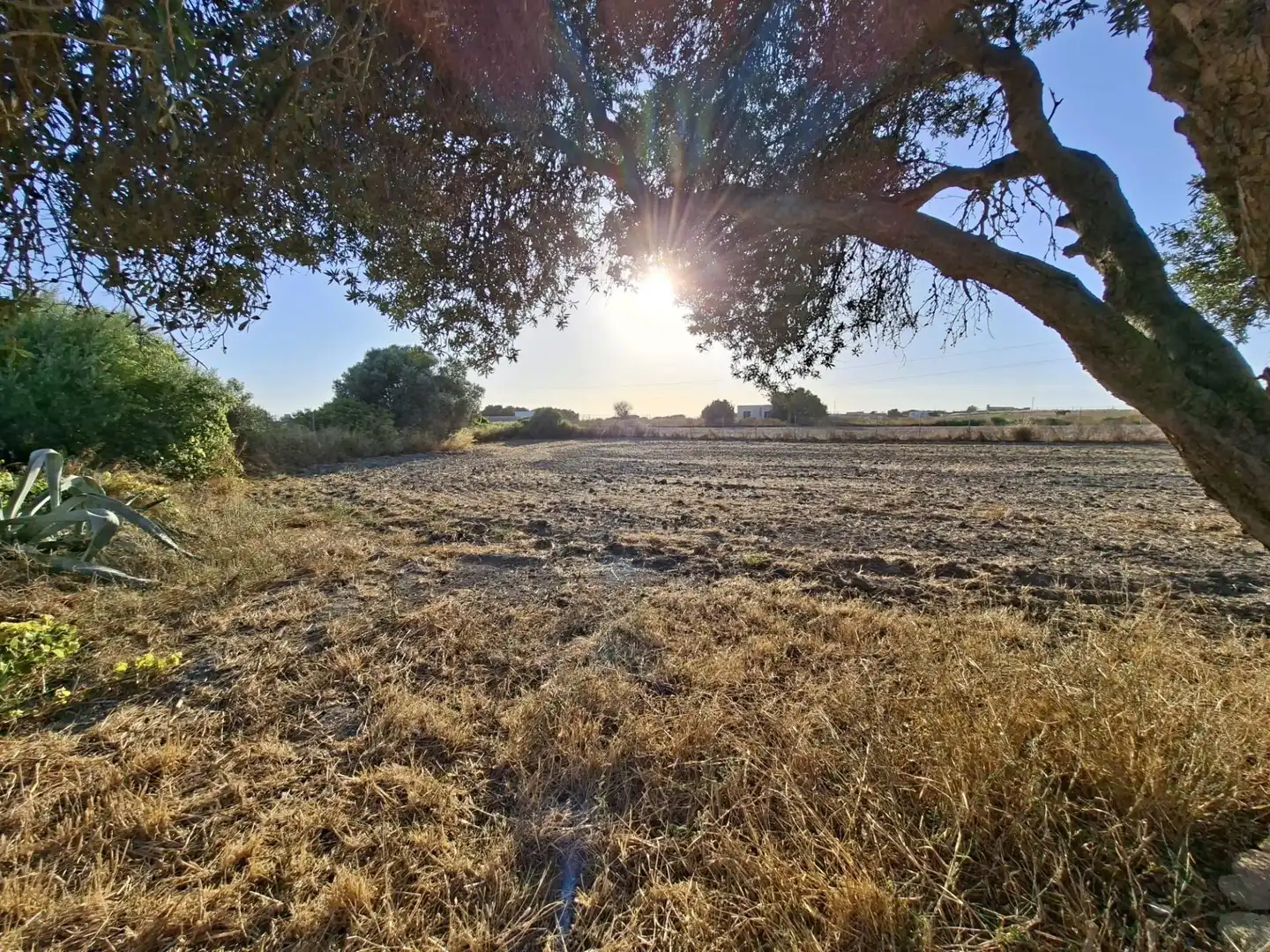 Finca rústica en venda en Chiclana de la Frontera