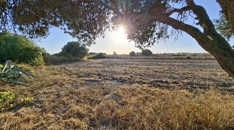 Foto 3 de Finca rústica en venda a Núcleo urbano, Chiclana de la Frontera