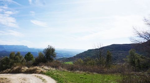 PARCELA RUSTICA EN VENTA EN PANILLO, imatge 4