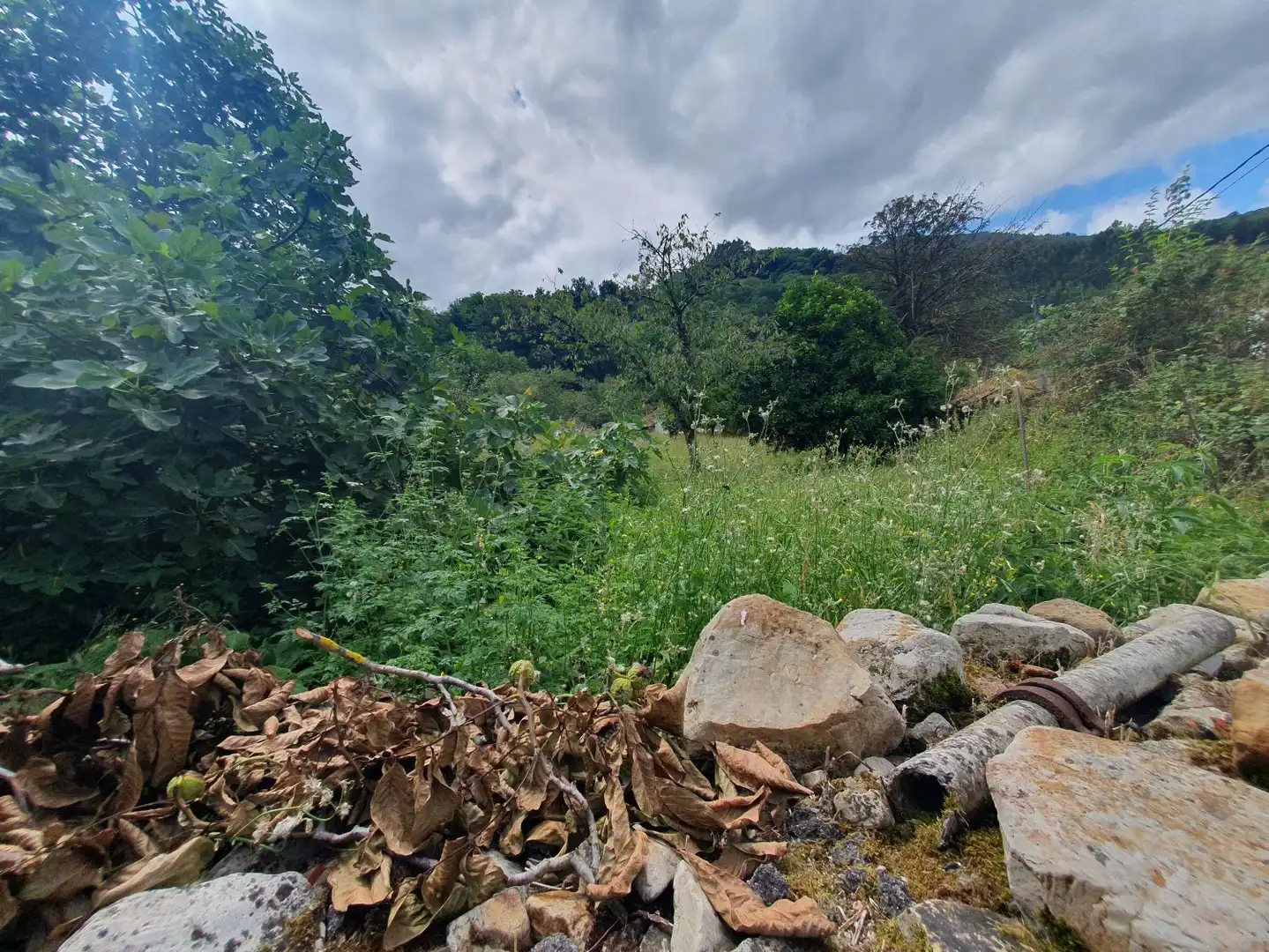 Terrenys i solars en venda a Belmonte de Miranda, imagen 4