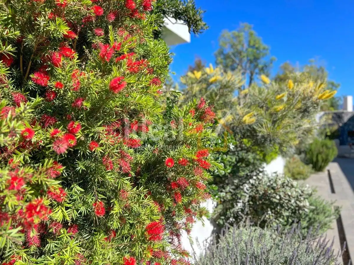 Garden of Houses for sale in Güímar  with Private garden, Terrace and Swimming Pool