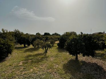 Terreno rustico in vendita a Pedanías Este