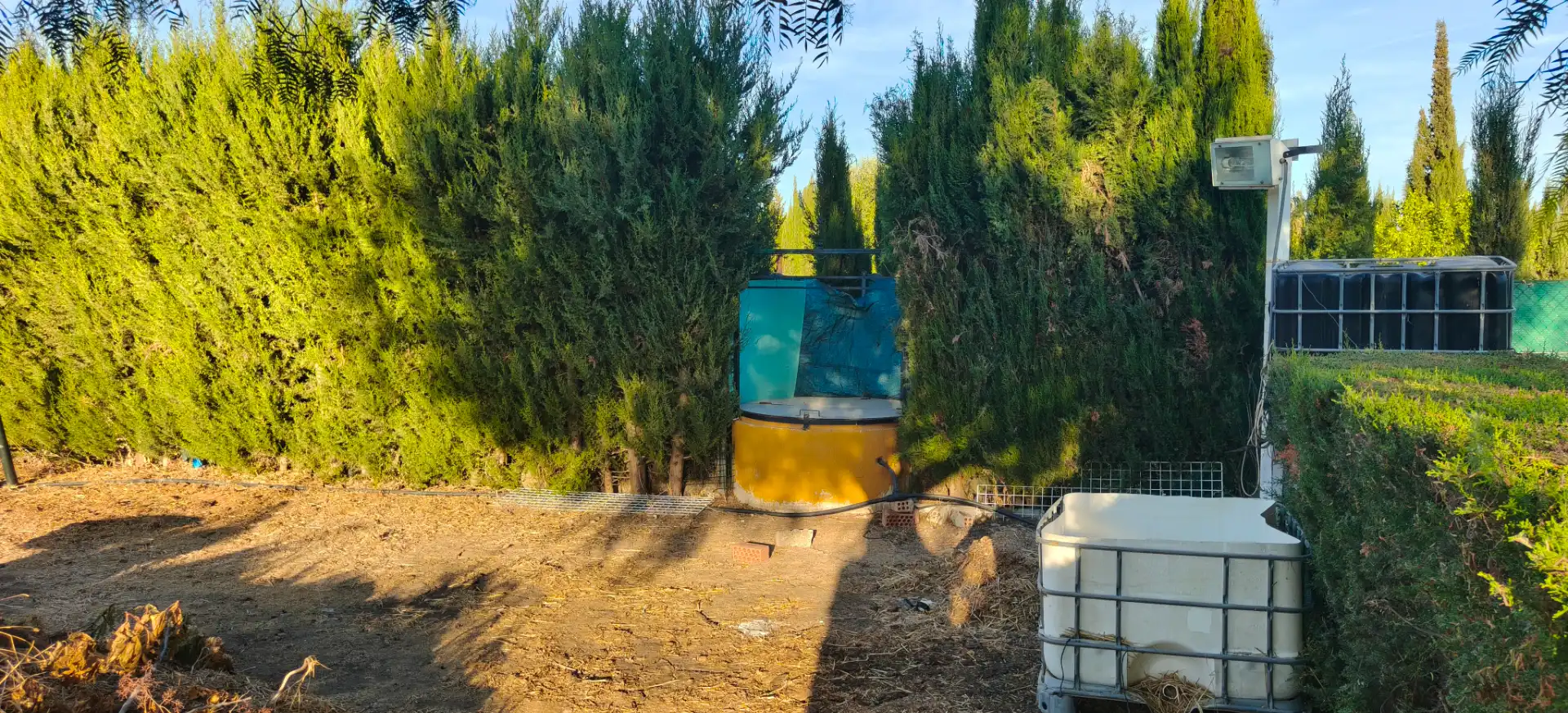 Maison rustique avec jardin à vendre à Las Cabezas de San Juan, imagen 13