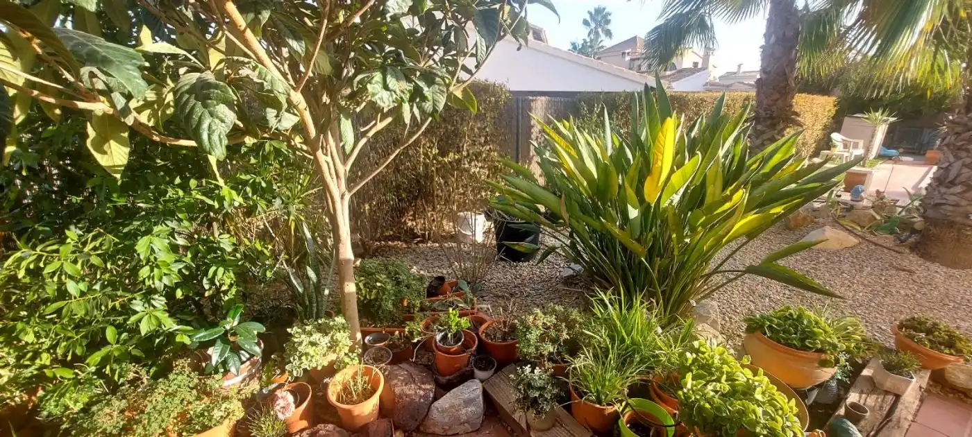 Jardí de Finca rústica en venda en Fuente Álamo de Murcia amb Aire condicionat, Calefacció i Jardí privat