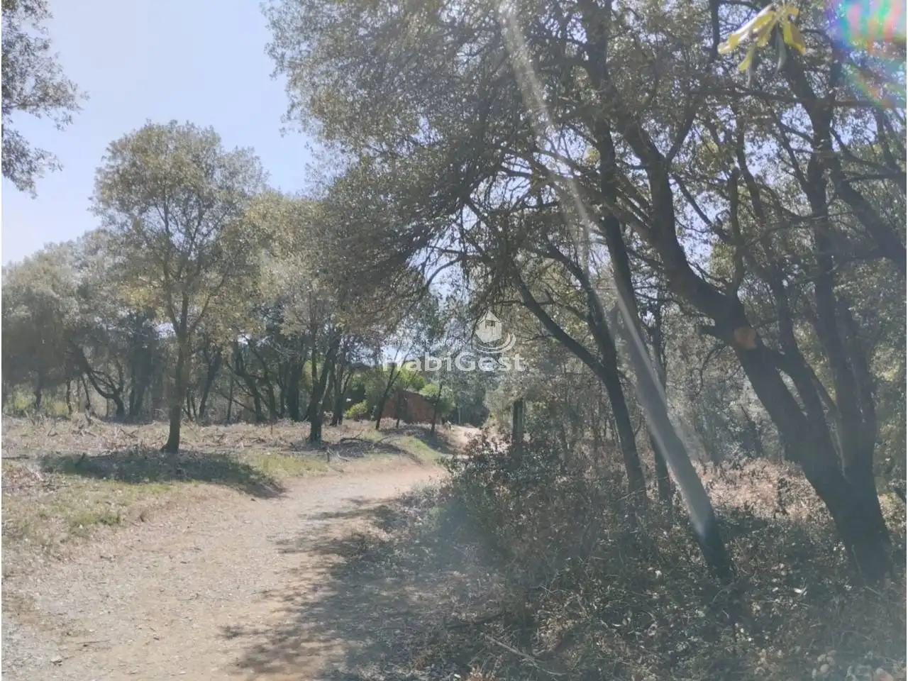 Land for sale in Girona