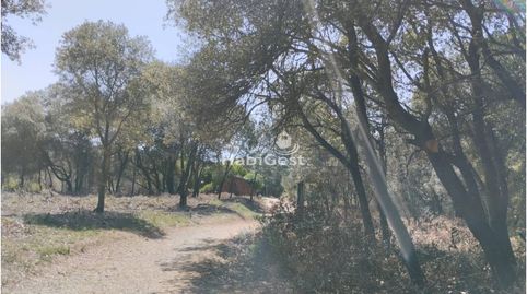 Foto 3 de Terreno en venta en Sant Daniel, Sant Daniel, Girona Capital