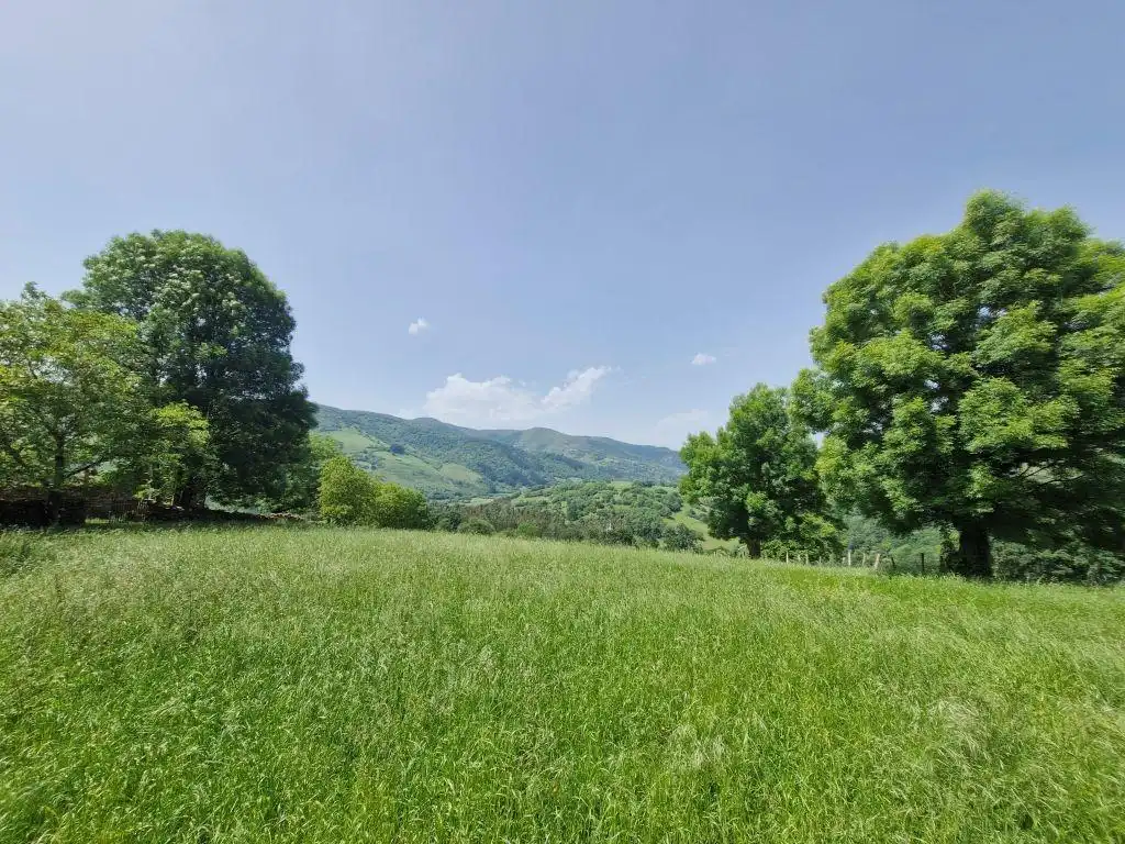 Finca rústica en venta en Cieza (Cantabria) con Balcón