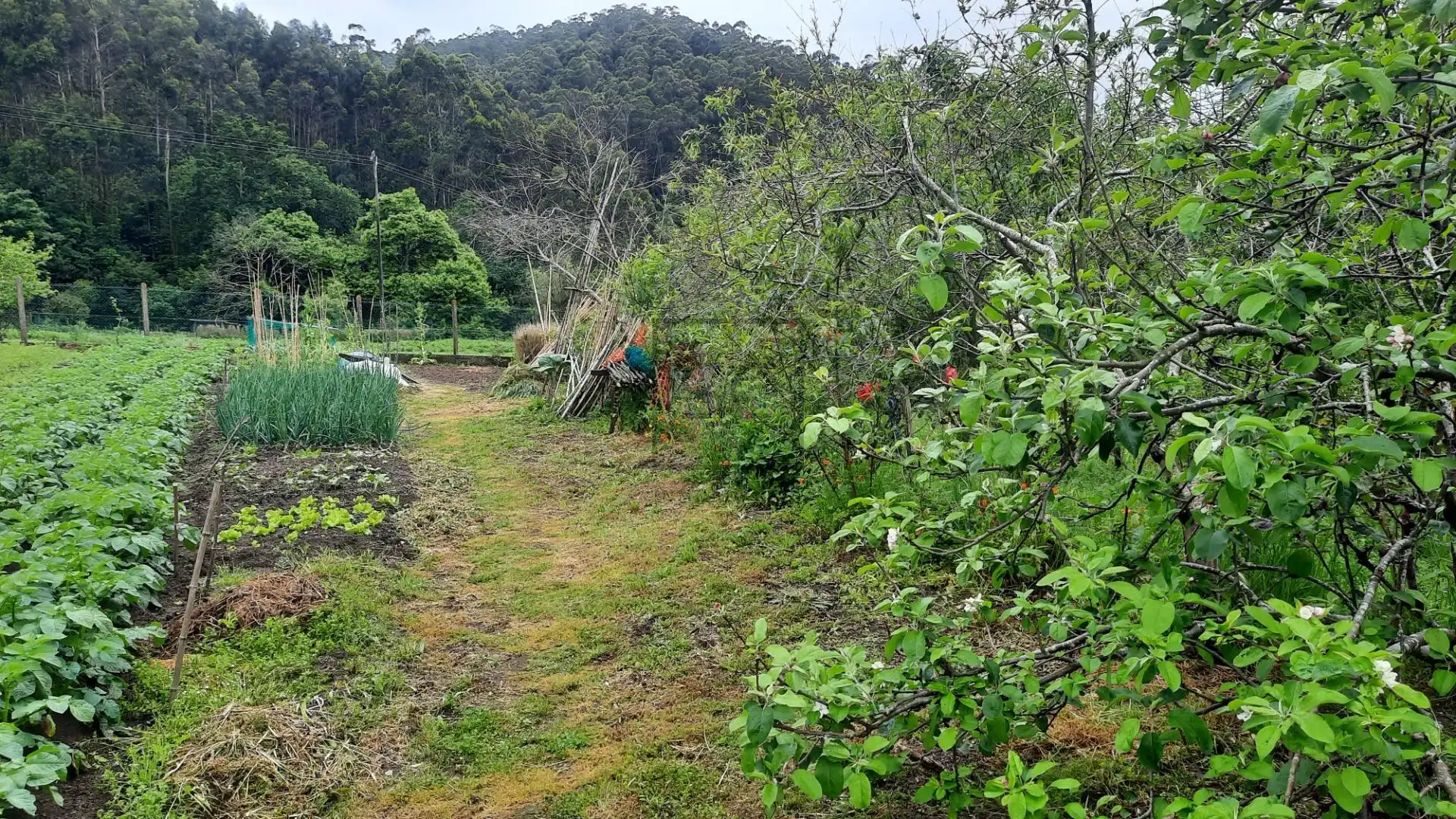 Garden of Houses for sale in Ferrol  with Private garden and Storage room