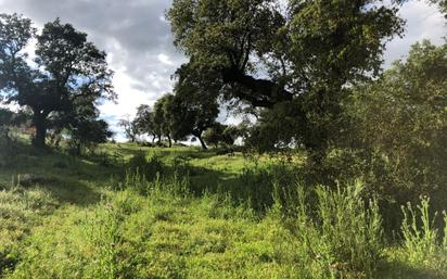 Land for sale in Plasencia