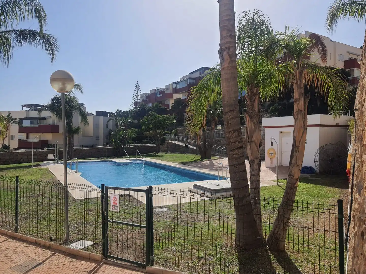 Swimming pool of Flat for share in Santangelo
