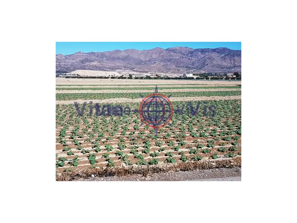 Residential land for sale in Diseminados Cazalla, imagen 8