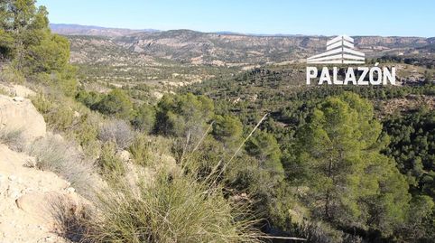 Finca de caza en venta en Letur Albacete, immagine 3