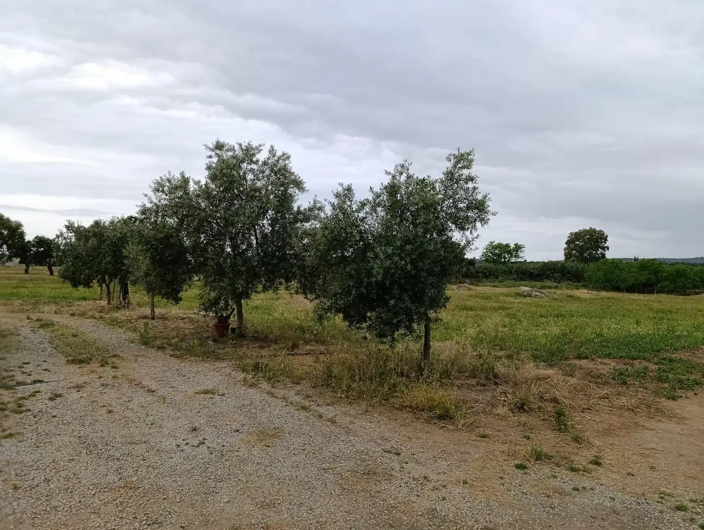 Finca rústica en venta en Zalamea de la Serena