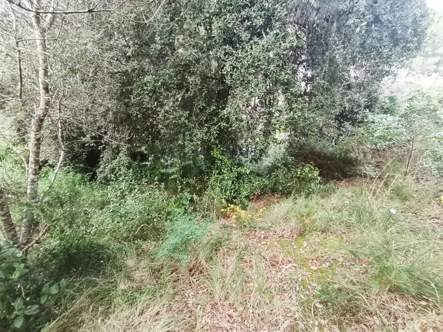 Residencial de alquiler en Piera