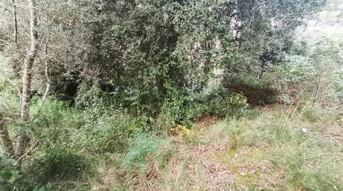 Foto 4 von Residential zur Miete in Piera, Barcelona