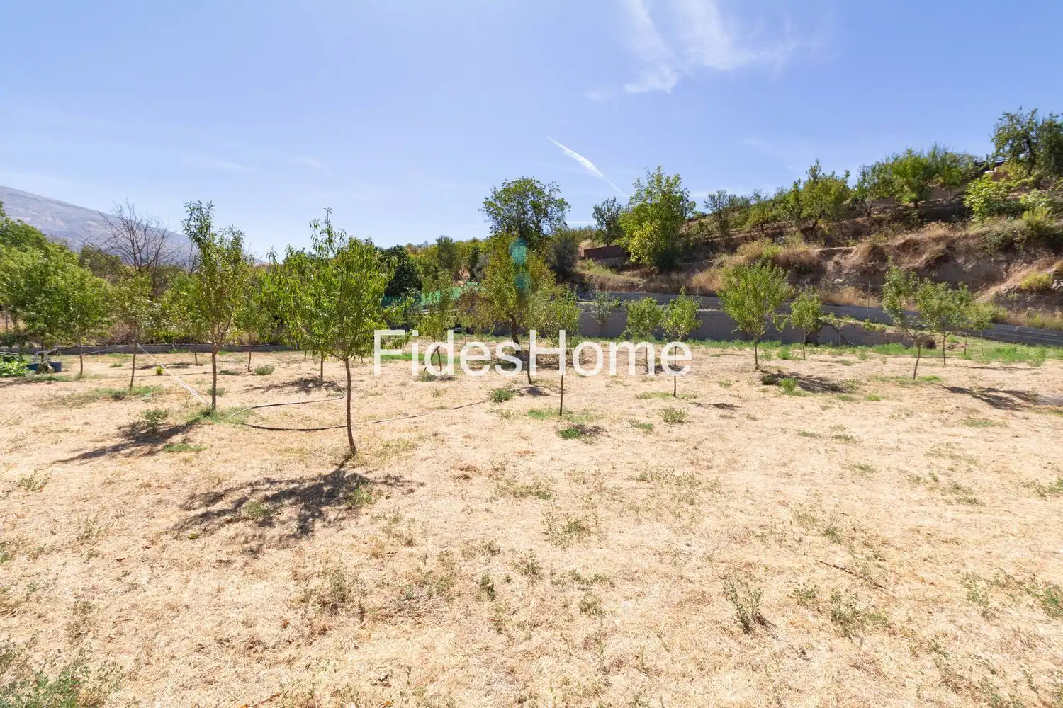 Rural land for sale in XCHH+JQ6 Dúrcal 0, imagen 10