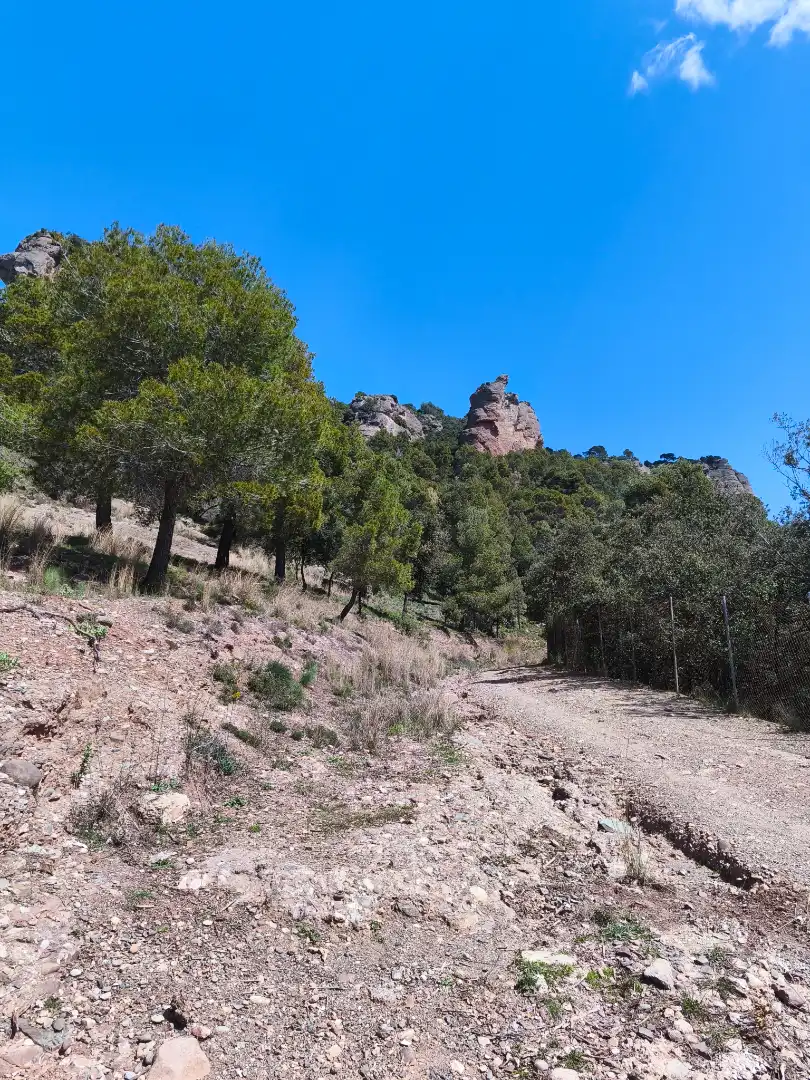 Terrain résidentiel à vendre à Carrer de la Font del Querol 19, imagen 2