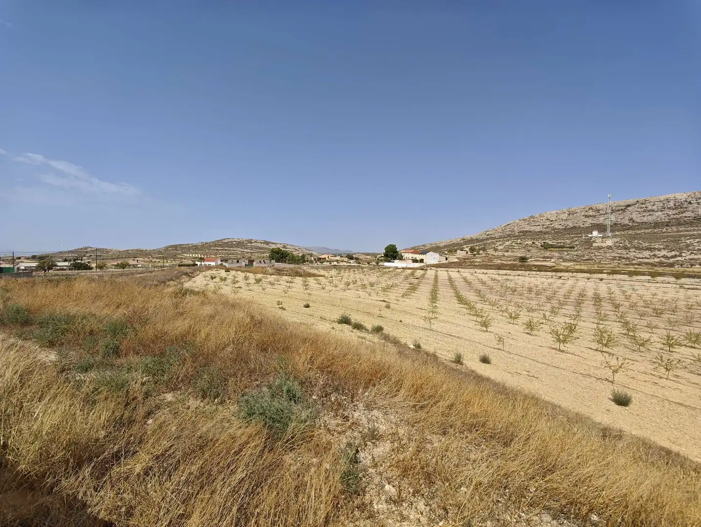 Country homes for sale in Jumilla