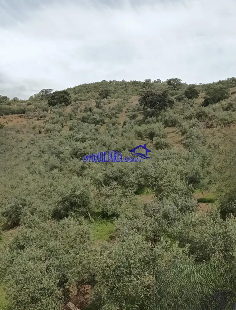 Country homes for sale in Adamuz, Córdoba