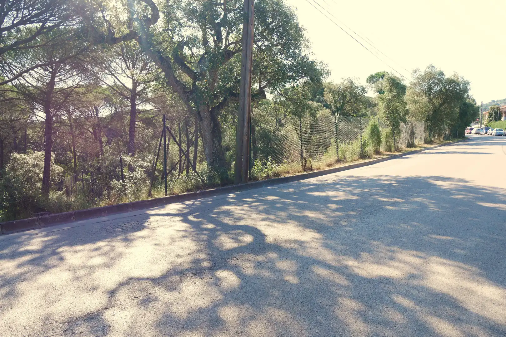 Terrain rustique à vendre à Carrer de Ulises 94, imagen 6