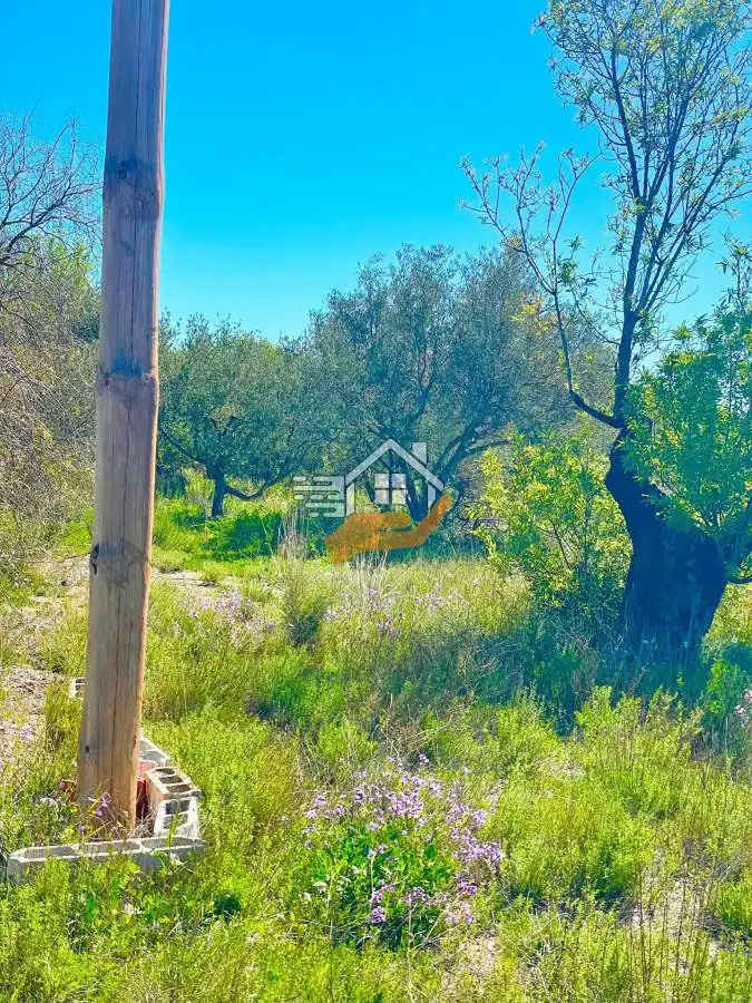 Villa in vendita a Vélez-Rubio, imagen 20