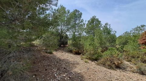 Foto 3 de Residencial en venta en Polígono, La Conarda - Montesano, Bétera