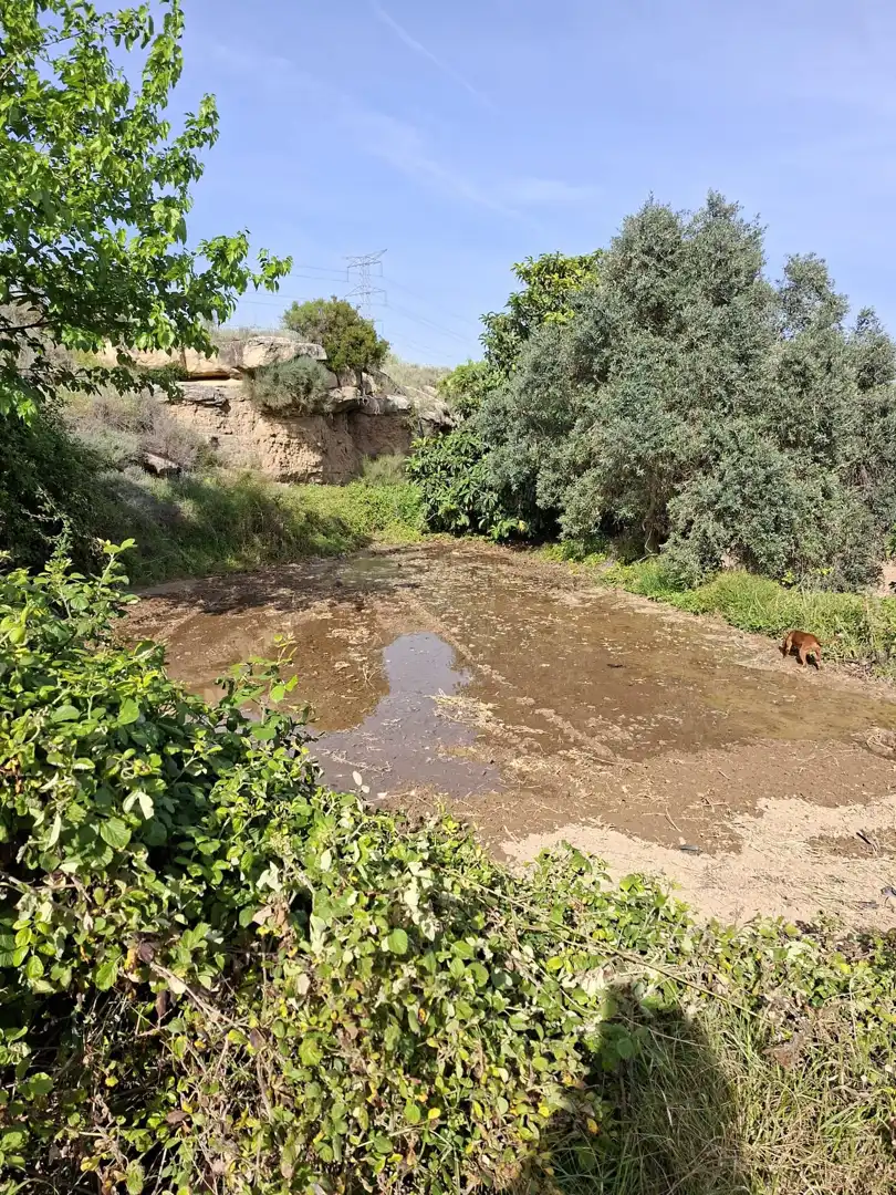 Finca rústica en venda en Caspe