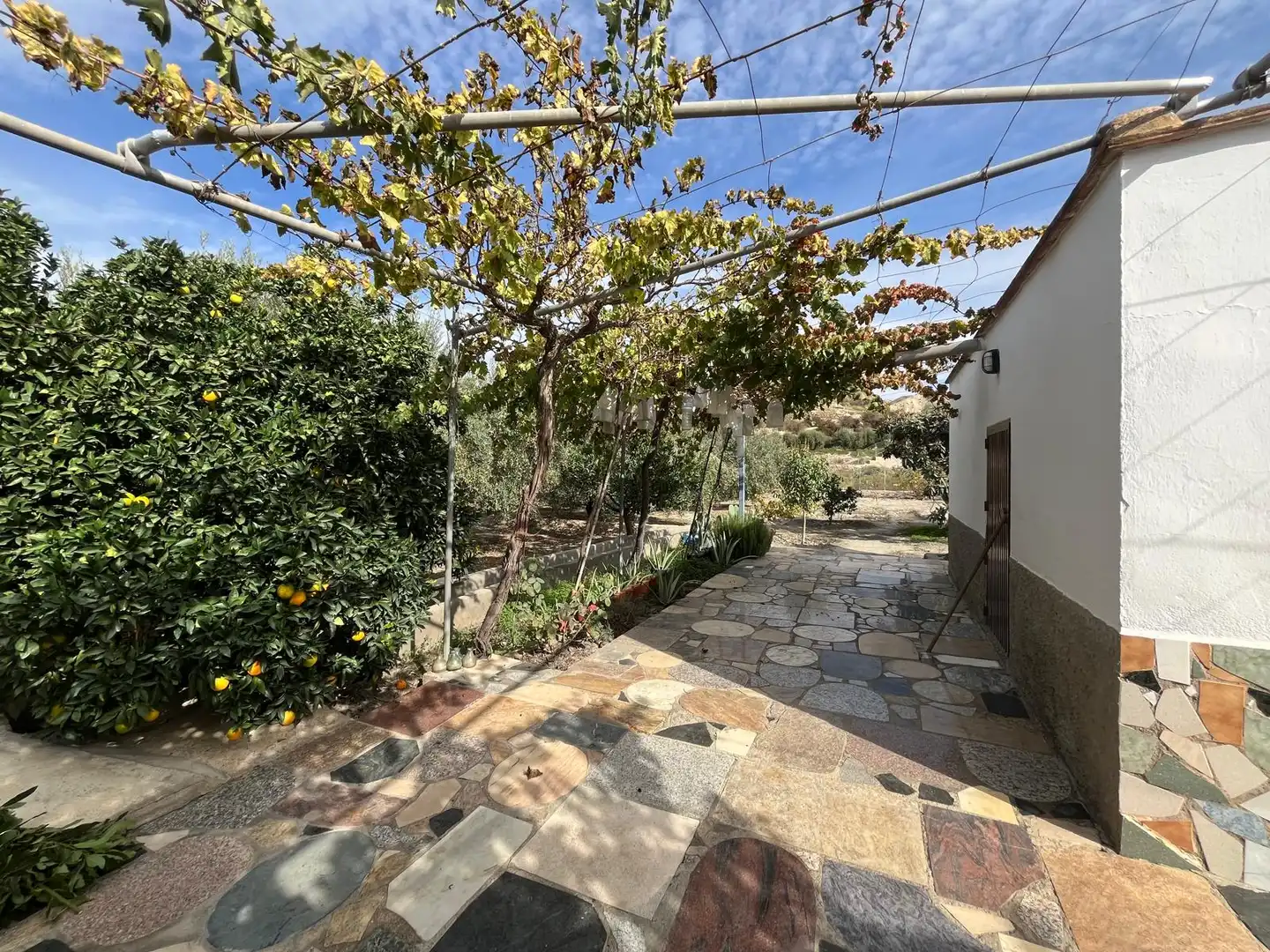 Jardín de Terreno en venta en Alsodux