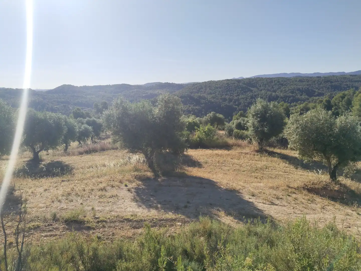 Terreno rustico in vendita a La Pobla de Cérvoles, imagen 10