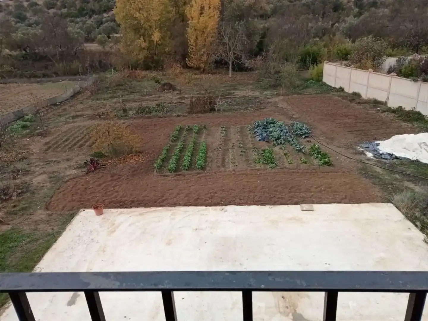 Jardí de Pis en venda en Loja, Granada