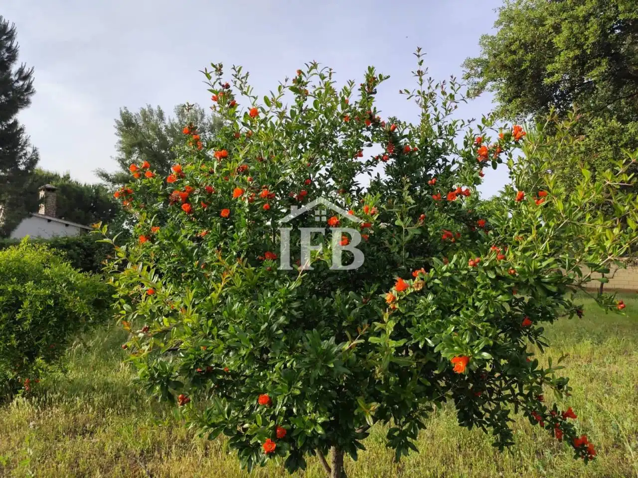 Terreno en venta en Valverde de Leganés