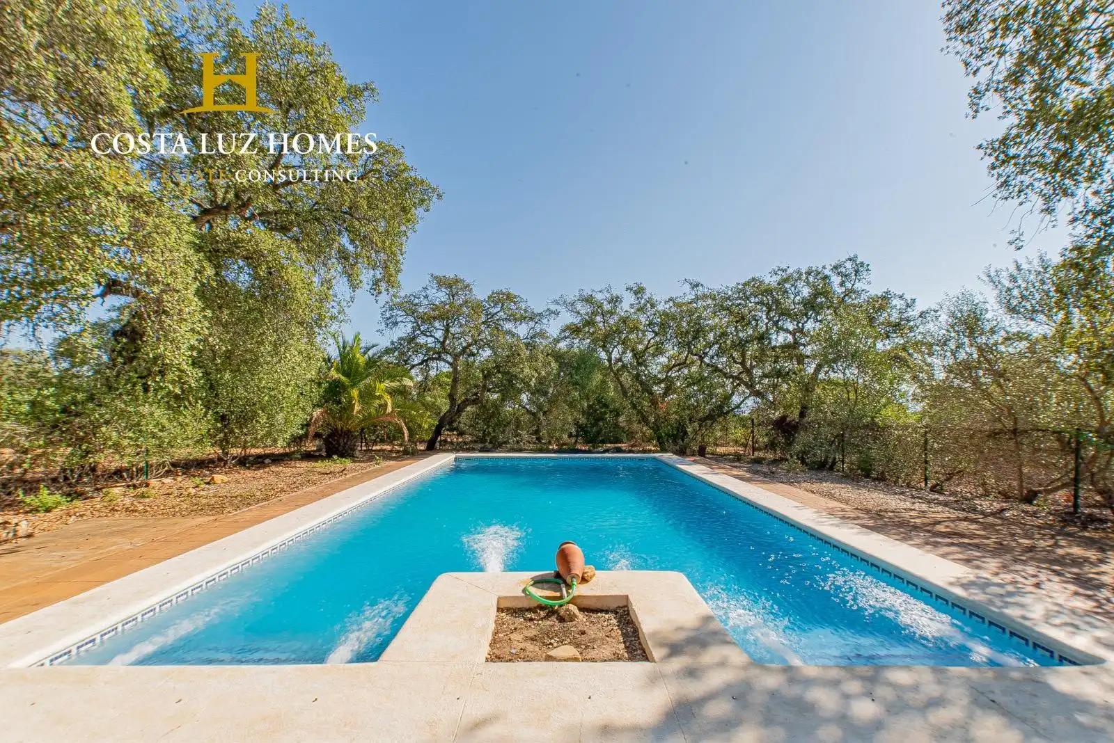 Casa rústica amb piscina en venda a Arcos de la Frontera, imagen 5