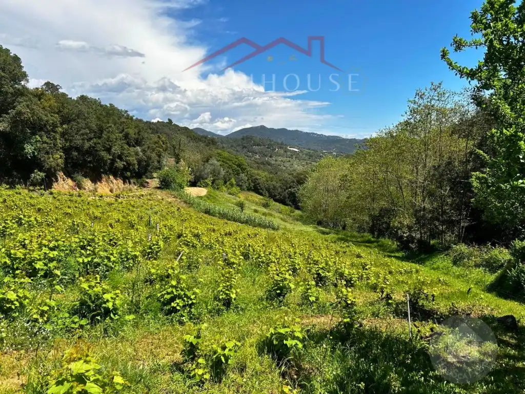 Casa rústica en venta en Carrer Cami de Canet, imagen 27