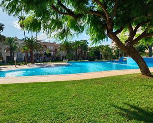 Swimming pool of Single-family semi-detached for sale in La Pobla de Farnals  with Air Conditioner, Heating and Private garden